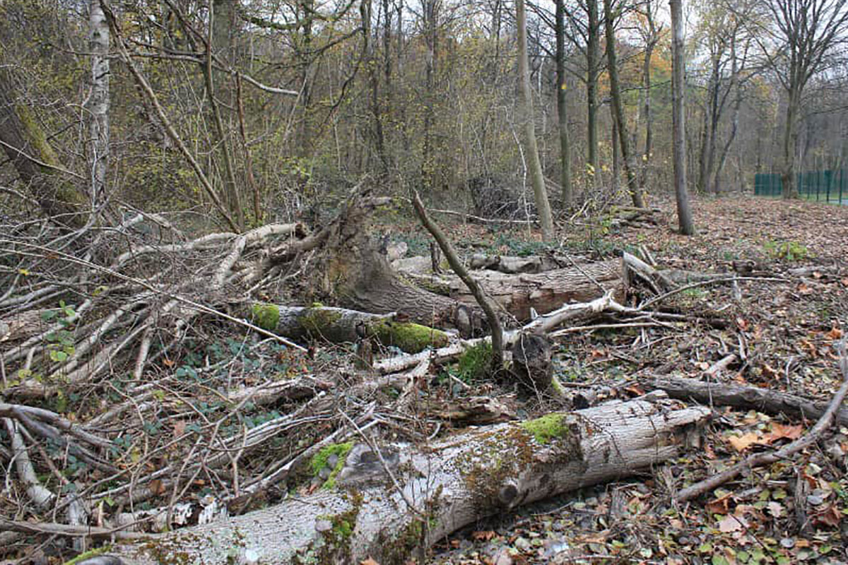 À l'heure du réchauffement climatique.